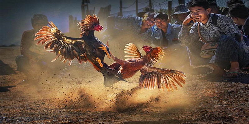 vaobong88 đăng nhập roulette số 1