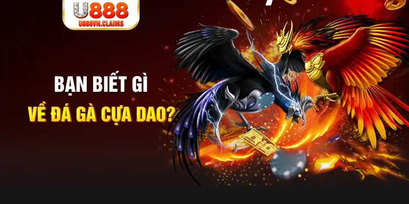 vaobong88 xổ số kiến thiết
