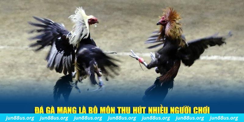 vaobong88 xổ số cà mau