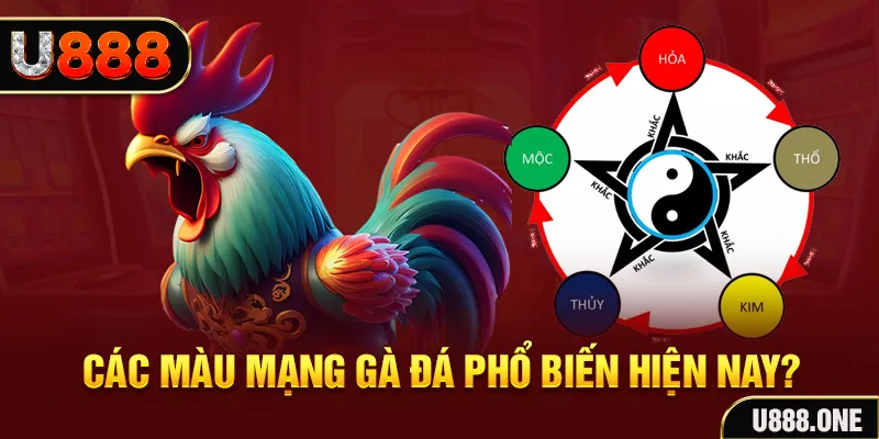 vaobong88 đăng nhập mậu binh