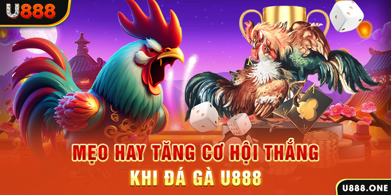 vaobong88 trực tiếp gà chọi c1