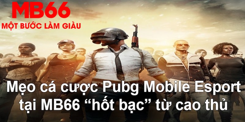 vaobong88 gà chọi mộc hóa