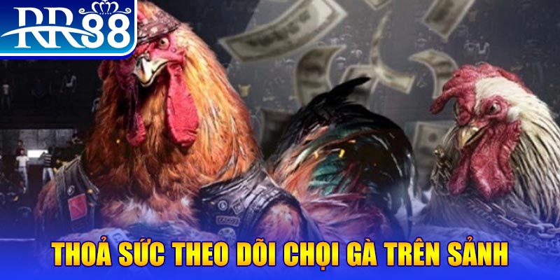 vaobong88 đá gà 88.com