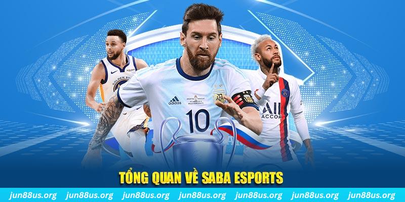 vaobong88 gà chọi c1 tv trực tiếp hôm nay